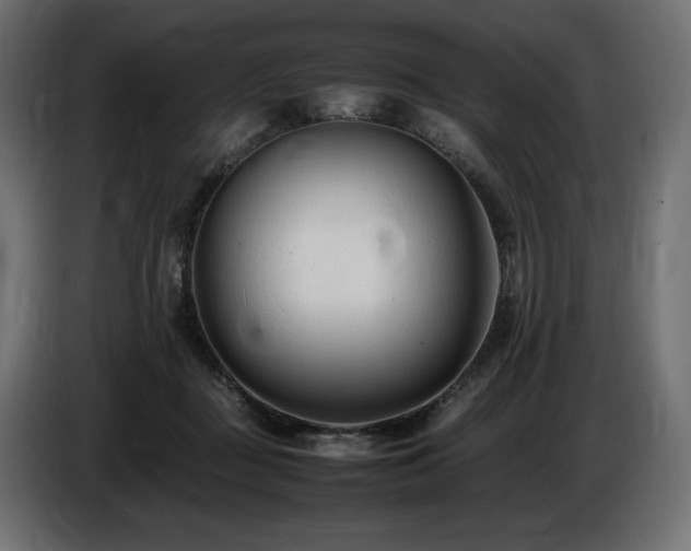 X0000086720363200704131049