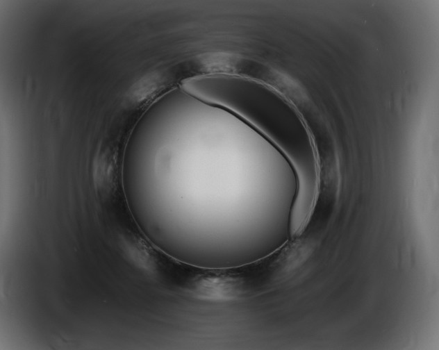X0000086720364200704131049