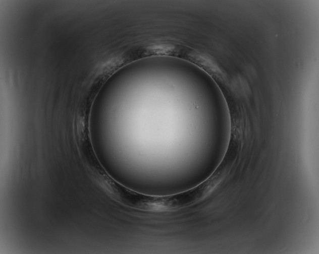 X0000086720365200704131049