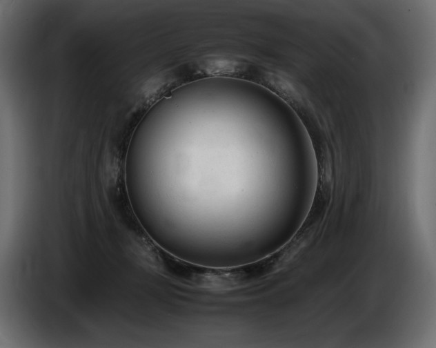 X0000086720367200704131049