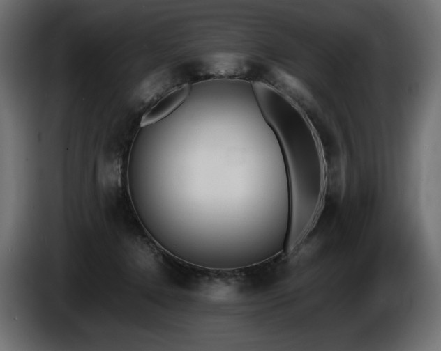 X0000086720368200704131049