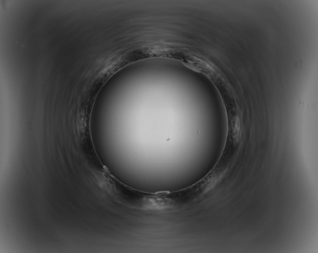 X0000086720372200704131049
