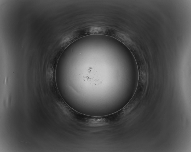 X0000086720375200704131050