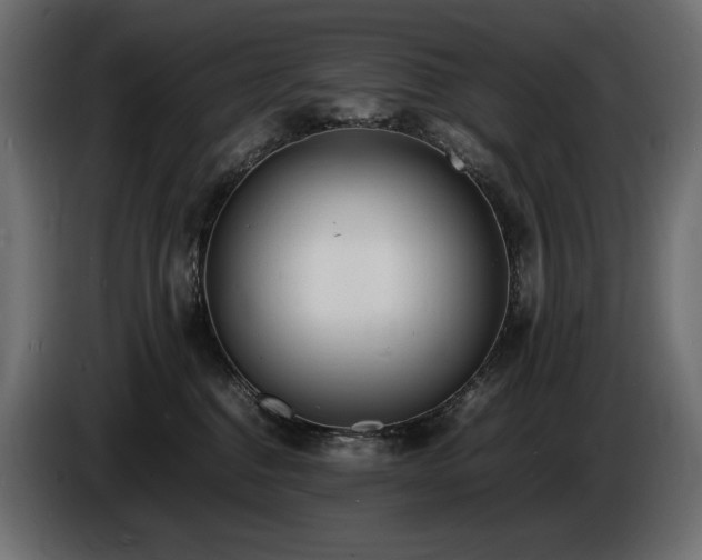 X0000086720376200704131050