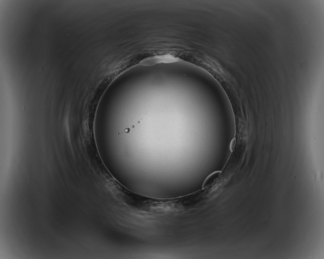 X0000086720377200704131050