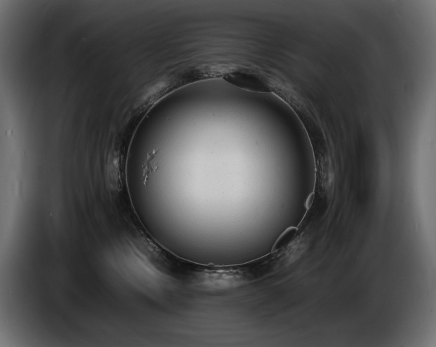 X0000086720378200704131050
