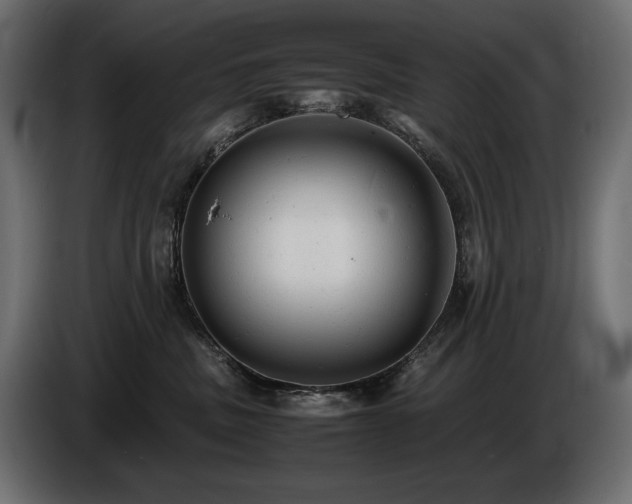 X0000086720379200704131050