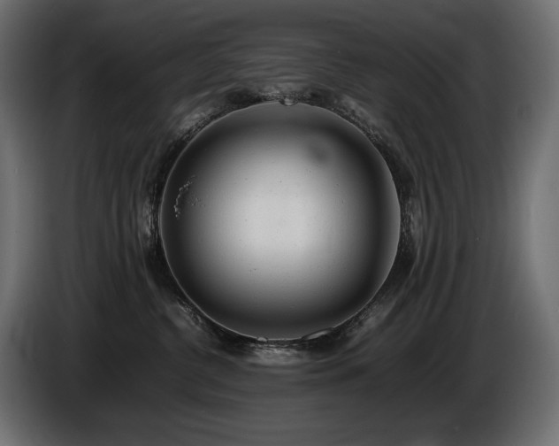 X0000086720380200704131050