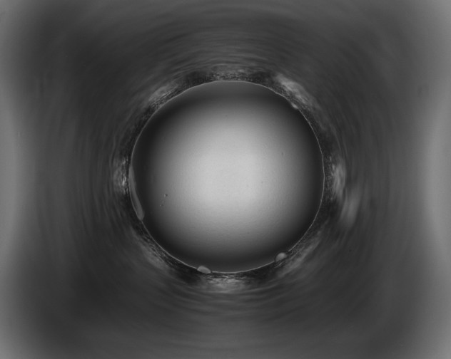 X0000086720383200704131050