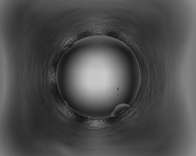 X0000086720384200704131050