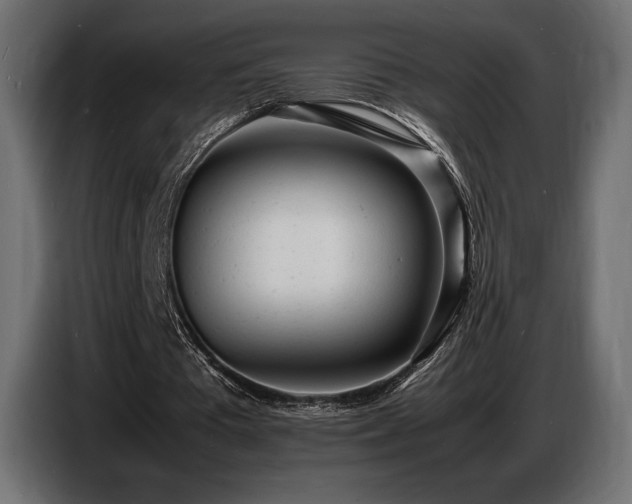X0000086720385200704131049