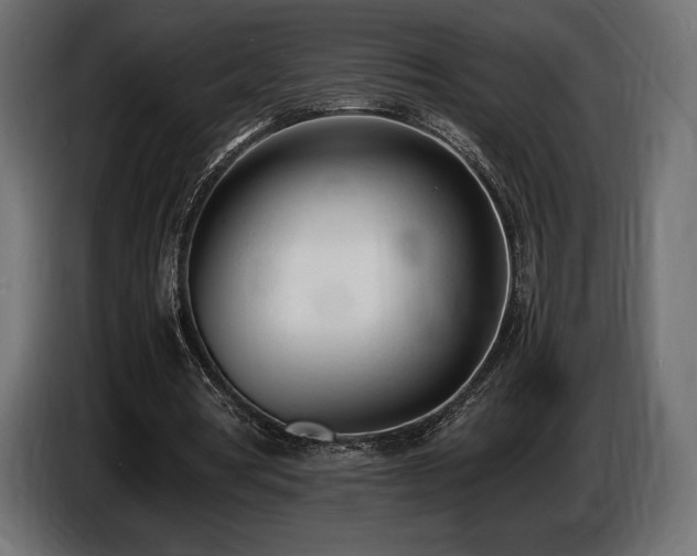 X0000086720386200704131049