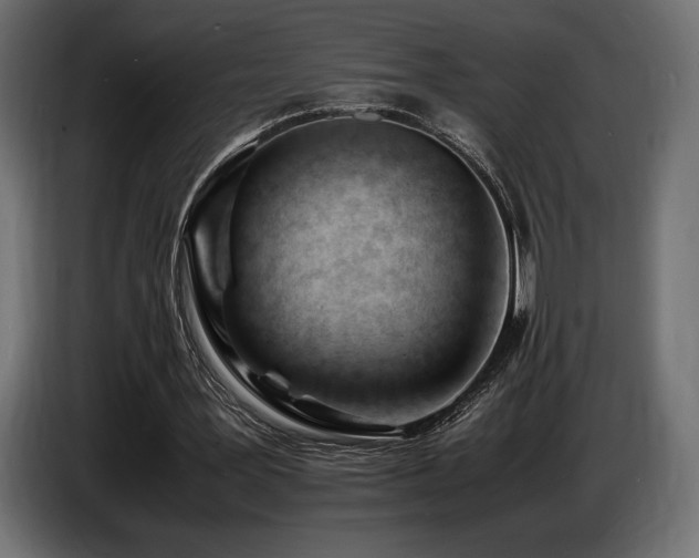 X0000086720387200704131049