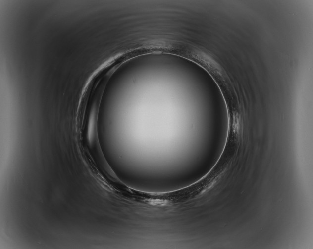 X0000086720388200704131049