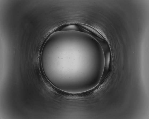 X0000086720389200704131049