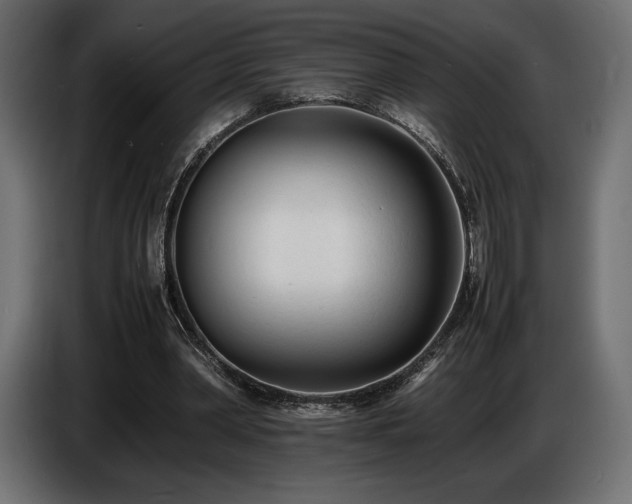 X0000086720390200704131049