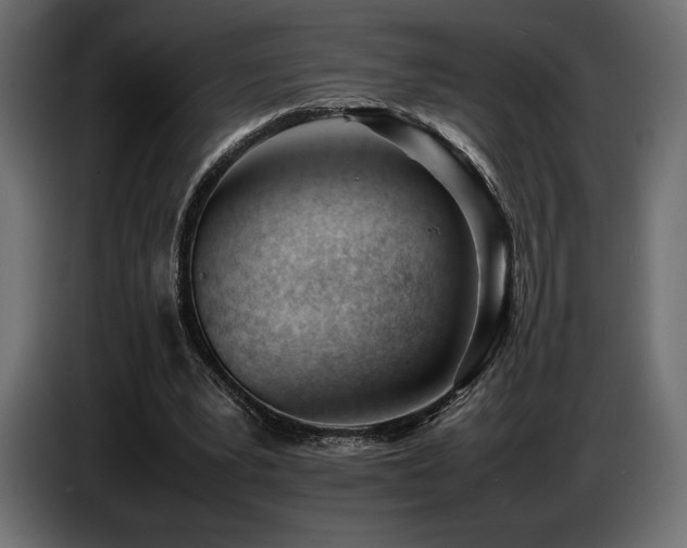 X0000086720391200704131049