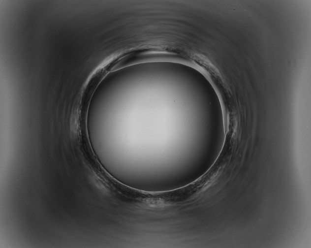 X0000086720392200704131049