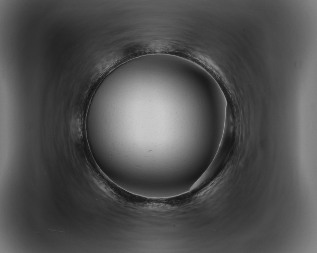 X0000086720393200704131049