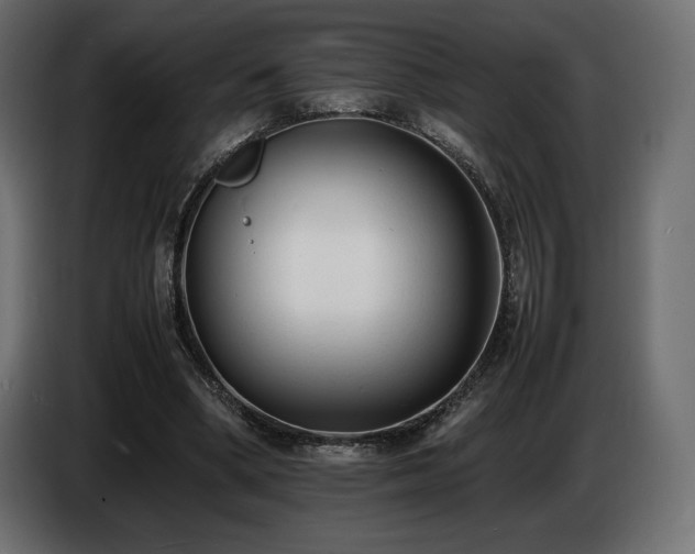 X0000086720394200704131049