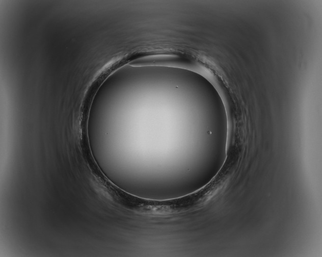 X0000086720395200704131049