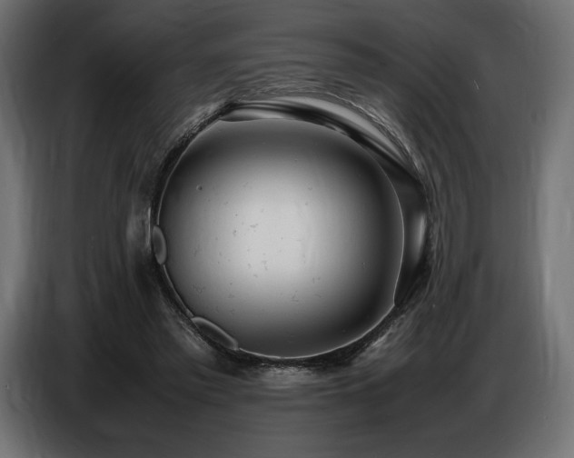 X0000086720397200704131049