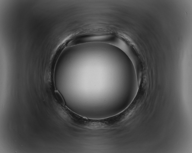 X0000086720399200704131049