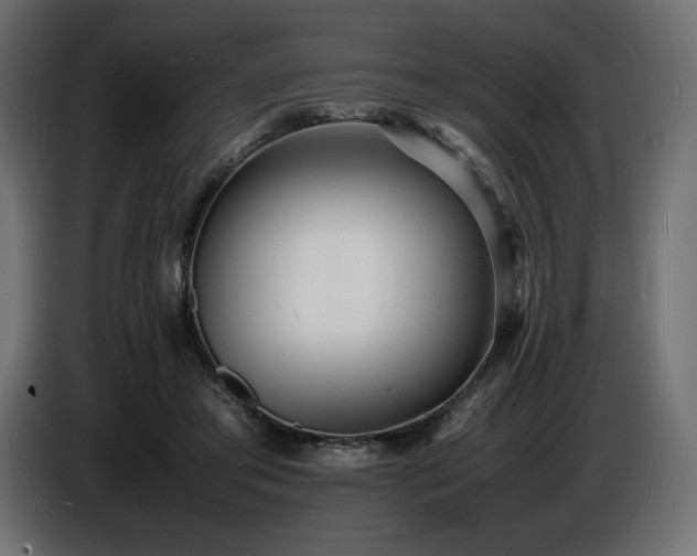 X0000086720405200704131049