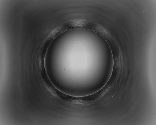 X0000086720408200704131049