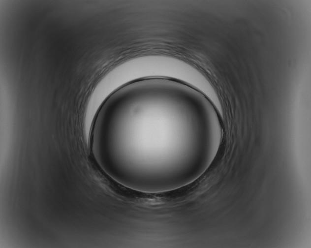 X0000086720411200704131049