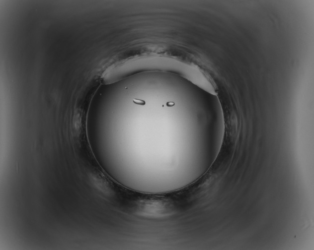 X0000086720412200704131049