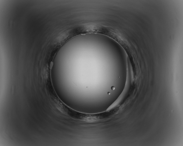 X0000086720413200704131049
