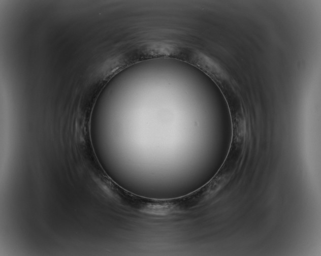 X0000086720414200704131049