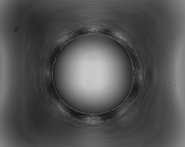 X0000086720415200704131049