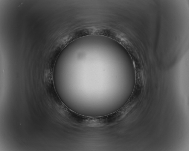 X0000086720419200704131049