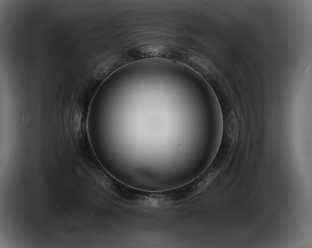X0000086720420200704131048