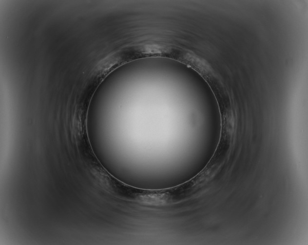 X0000086720422200704131048