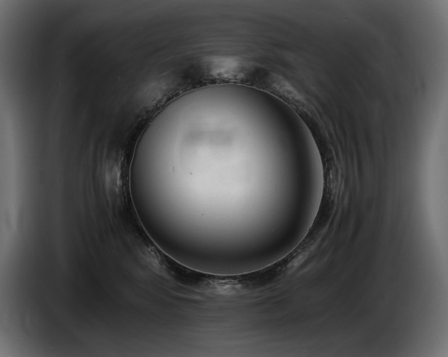 X0000086720424200704131048