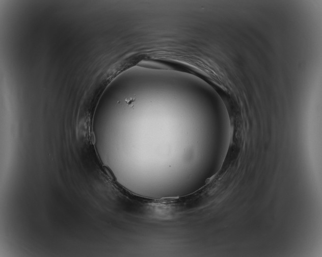 X0000086720425200704131048