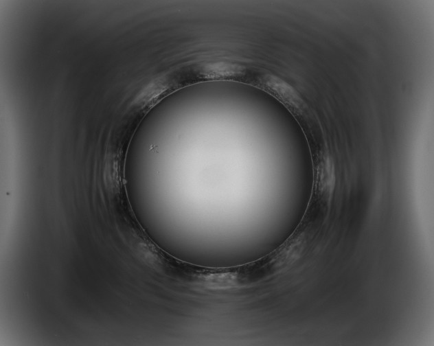 X0000086720426200704131048
