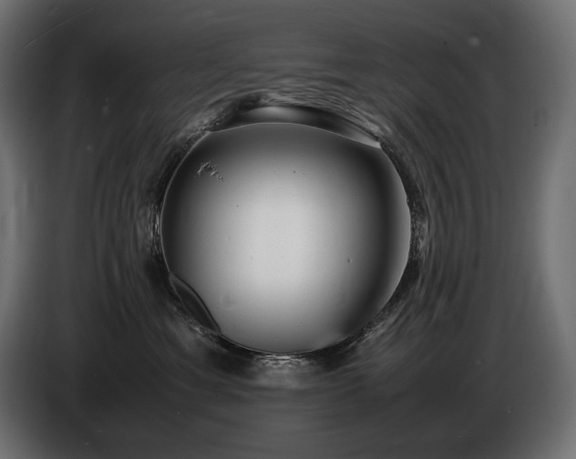 X0000086720429200704131048