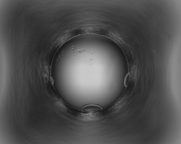 X0000086720430200704131048