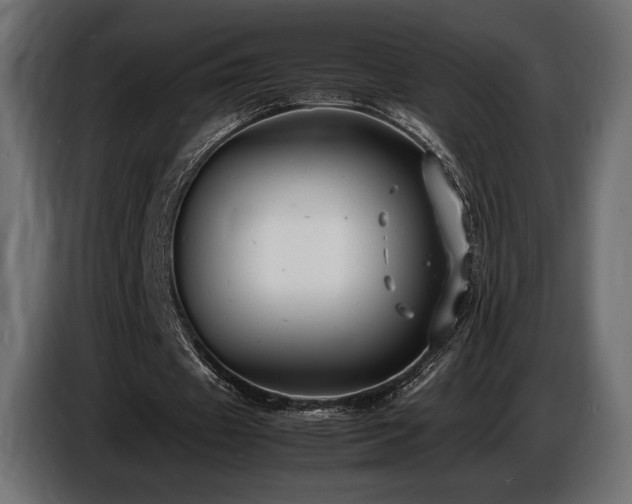 X0000086720433200704131048