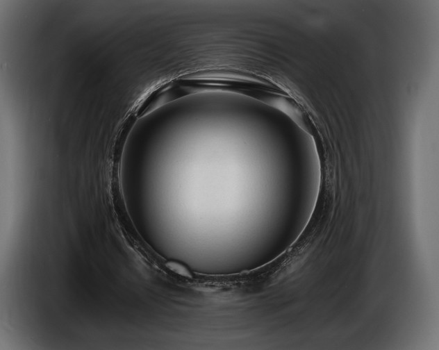 X0000086720434200704131048
