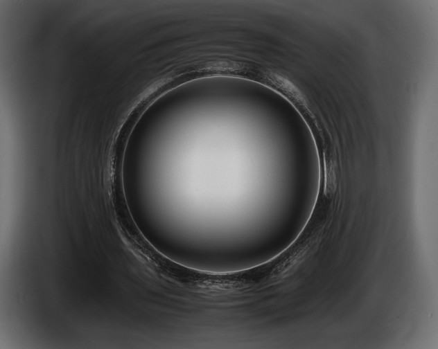 X0000086720435200704131048