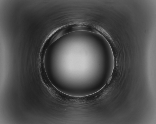 X0000086720436200704131048
