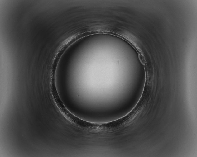 X0000086720437200704131048