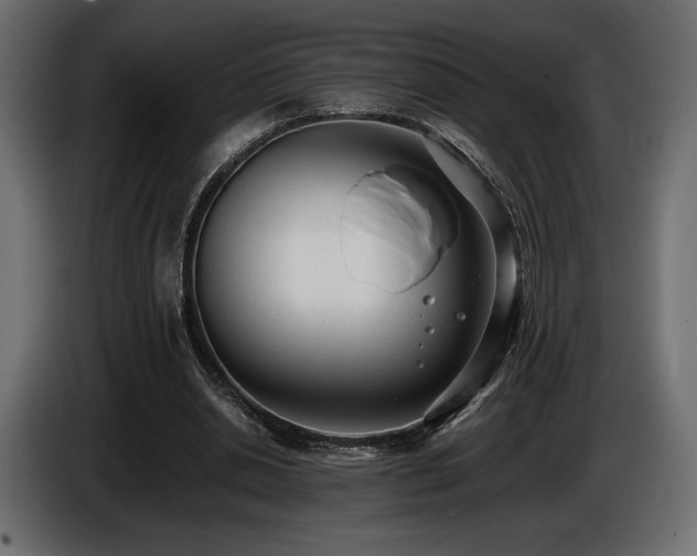 X0000086720438200704131048