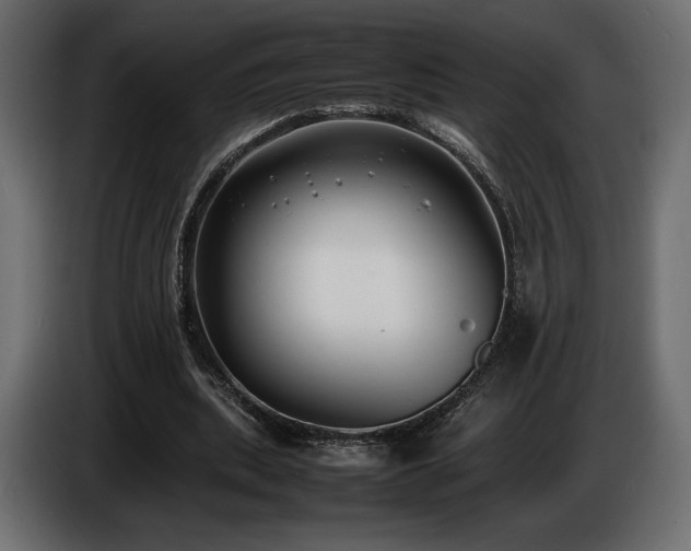 X0000086720439200704131048