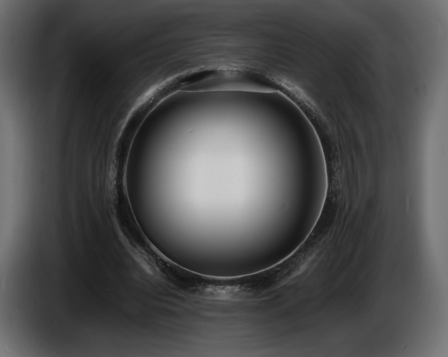 X0000086720440200704131048